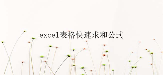 excel表格快速求和公式