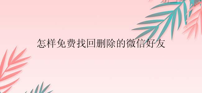 怎样免费找回删除的微信好友