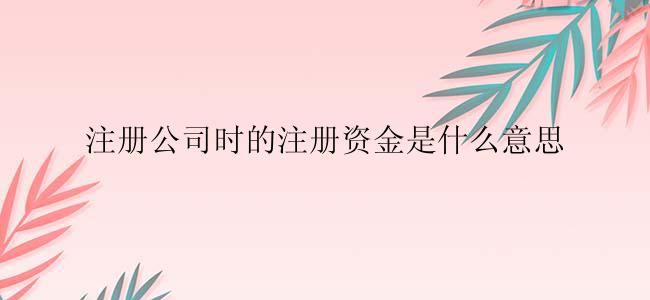 注册公司时的注册资金是什么意思