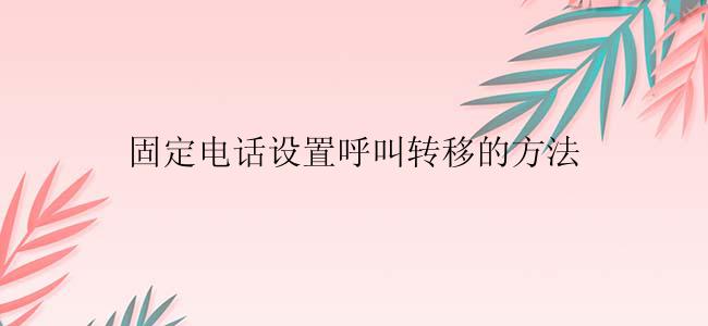 固定电话设置呼叫转移的方法
