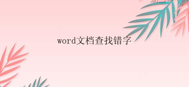 word文档查找错字