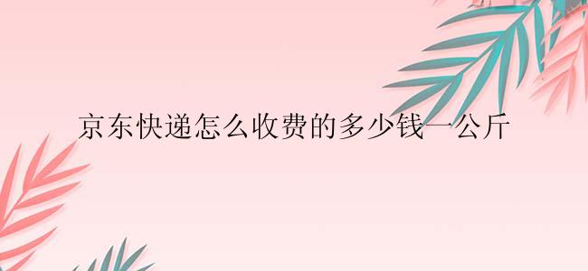 京东快递怎么收费的多少钱一公斤