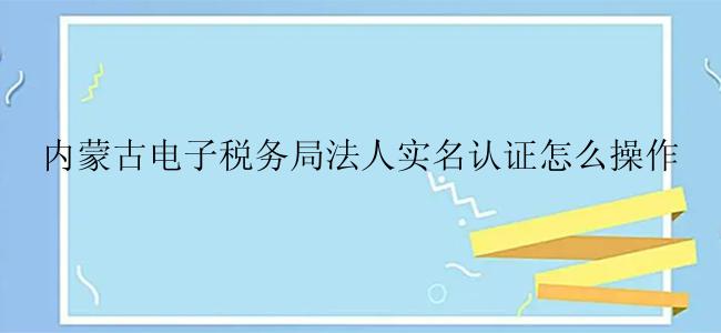 内蒙古电子税务局法人实名认证怎么操作