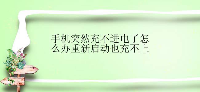 手机突然充不进电了怎么办重新启动也充不上