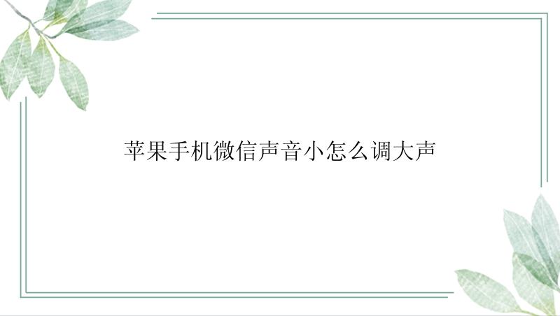 苹果手机微信声音小怎么调大声
