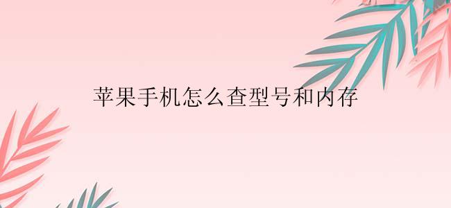 苹果手机怎么查型号和内存？