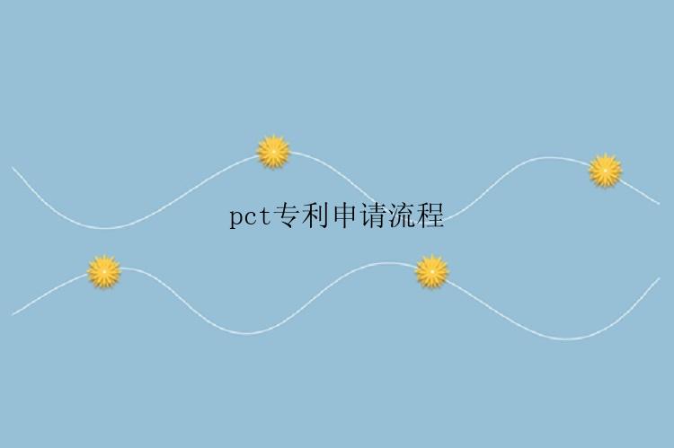 pct专利申请流程