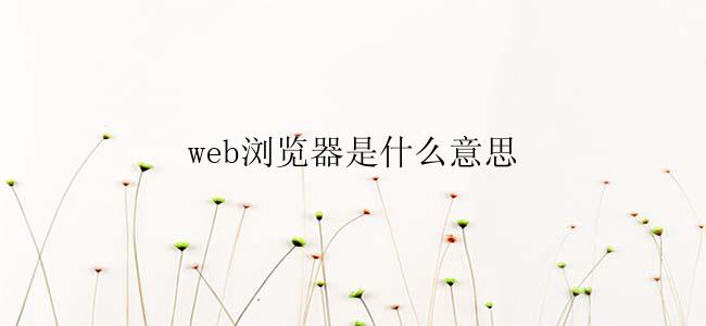 web浏览器是什么意思