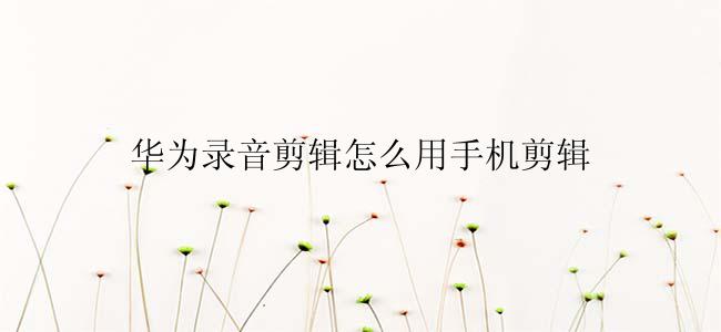 华为录音剪辑怎么用手机剪辑