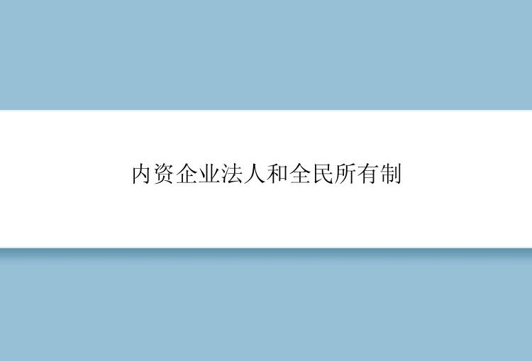 内资企业法人和全民所有制