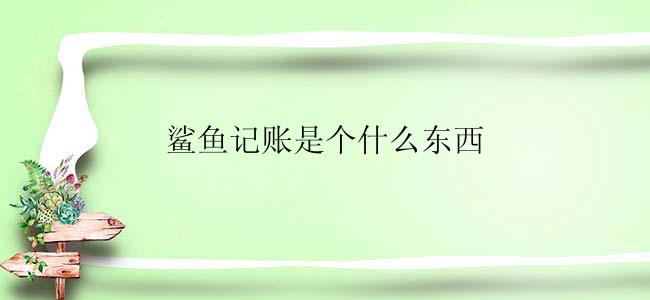 鲨鱼记账是个什么东西
