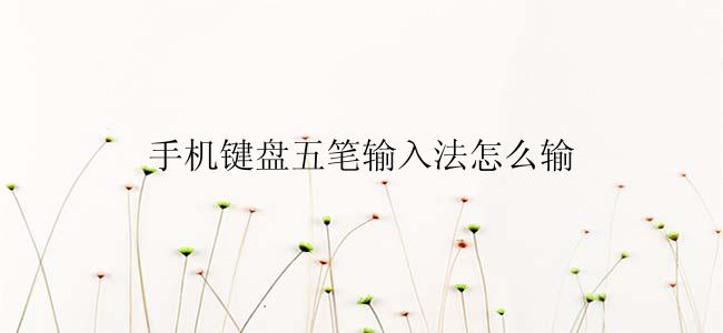 手机键盘五笔输入法怎么输入？