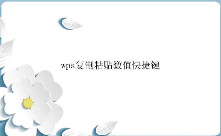 wps复制粘贴数值快捷键