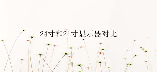 24寸和21寸显示器有什么区别？