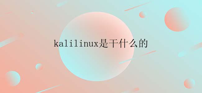 kalilinux是干什么的