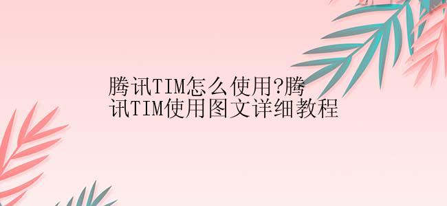 腾讯TIM怎么使用?腾讯TIM使用图文详细教程