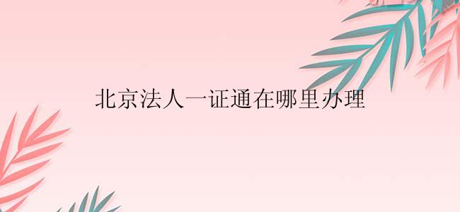 北京法人一证通在哪里办理？
