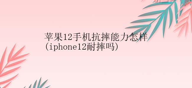 苹果12手机抗摔能力怎样(iphone12耐摔吗)