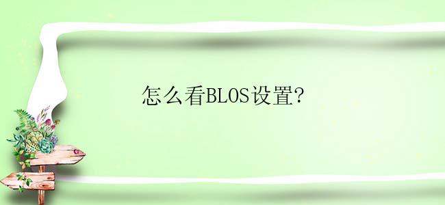 怎么看BLOS设置?