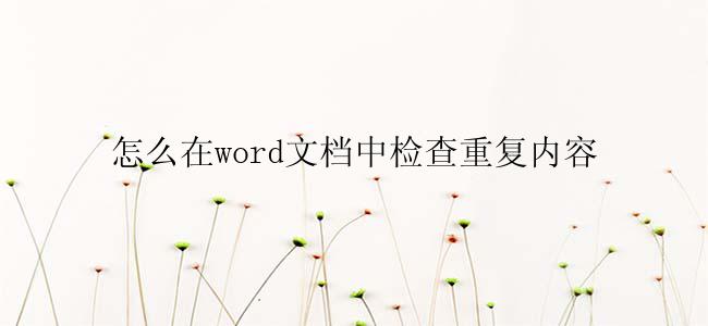 怎么在word文档中检查重复内容