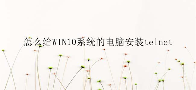 怎么给WIN10系统的电脑安装telnet？
