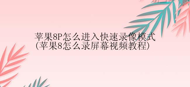 苹果8P怎么进入快速录像模式(苹果8怎么录屏幕视频教程)