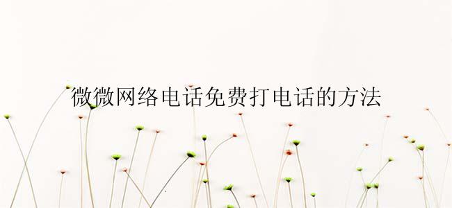 微微网络电话免费打电话的方法