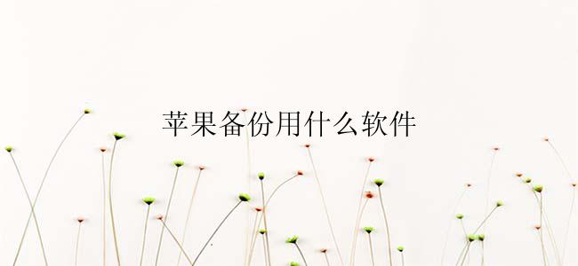 苹果备份用什么软件？