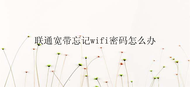 联通宽带忘记wifi密码怎么办