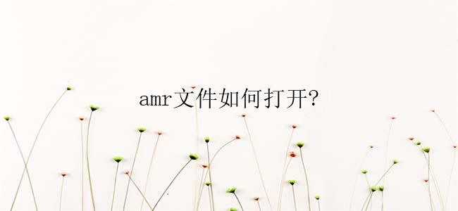 amr文件如何打开？