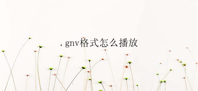 .gnv格式怎么播放