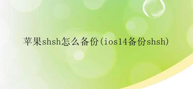 苹果shsh怎么备份(ios14备份shsh)