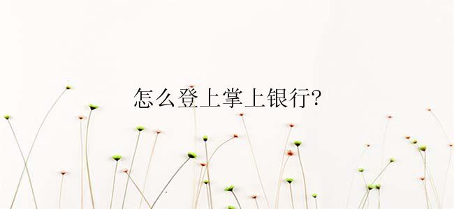 怎么登上掌上银行?