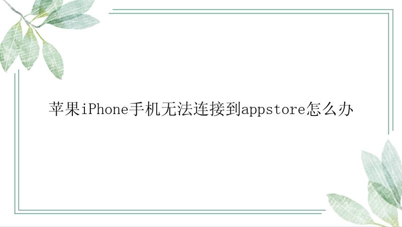 苹果iPhone手机无法连接到appstore怎么办