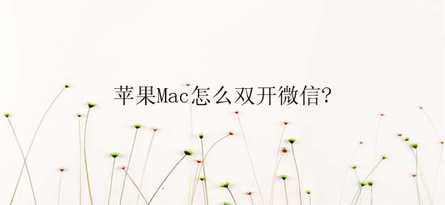 苹果Mac怎么双开微信?