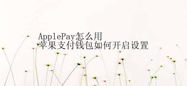 ApplePay怎么用苹果支付钱包如何开启设置