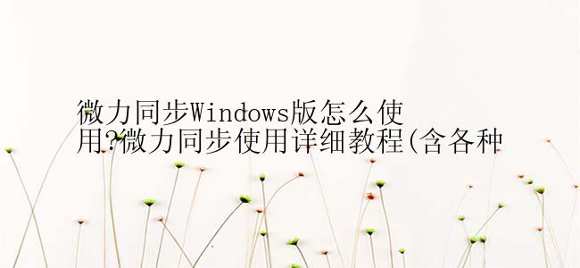 微力同步Windows版怎么使用?微力同步使用详细教程(含各种