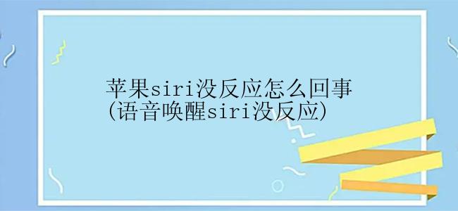 苹果siri没反应怎么回事(语音唤醒siri没反应)