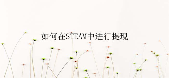 如何在STEAM中进行提现