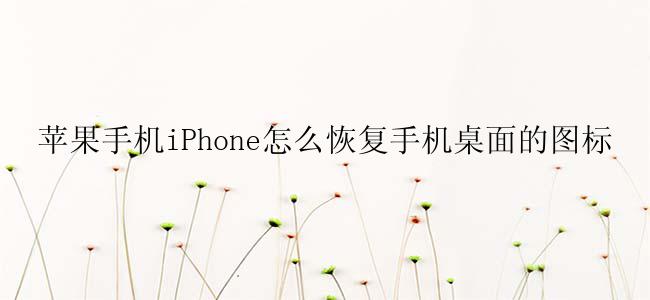 苹果手机iPhone怎么恢复手机桌面的图标