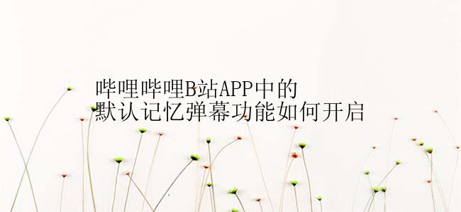 哔哩哔哩B站APP中的默认记忆弹幕功能如何开启