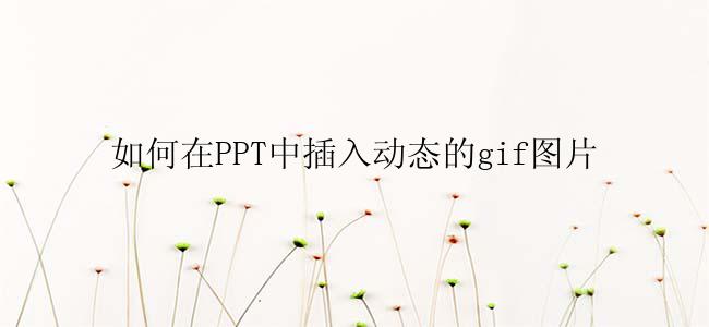 如何在PPT中插入动态的gif图片