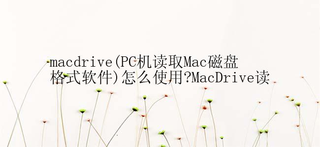 macdrive(PC机读取Mac磁盘格式软件)怎么使用?MacDrive读