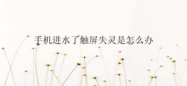 手机进水了触屏失灵是怎么办