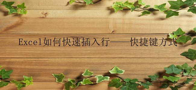 Excel如何快速插入行——快捷键方式