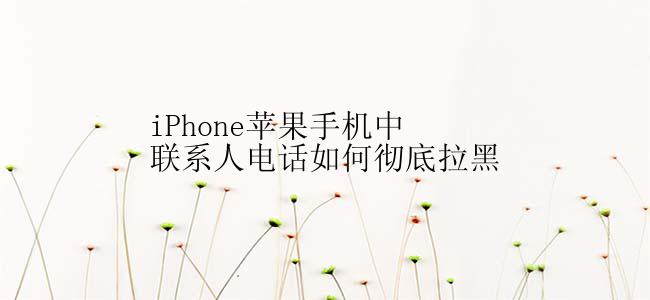 iPhone苹果手机中联系人电话如何彻底拉黑