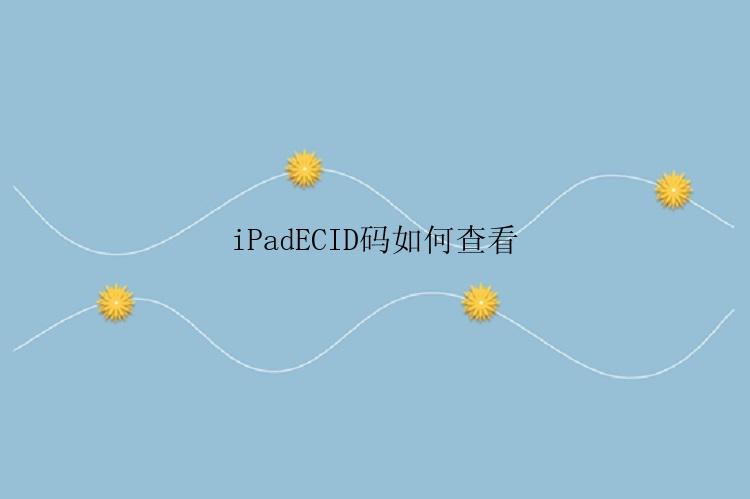 iPadECID码如何查看