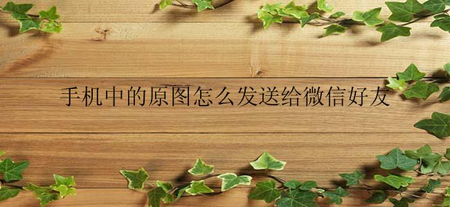 手机中的原图怎么发送给微信好友