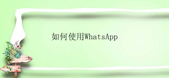 如何使用WhatsApp