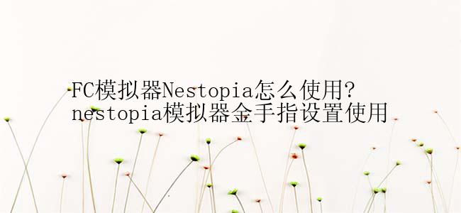 FC模拟器Nestopia怎么使用?nestopia模拟器金手指设置使用